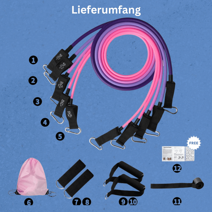 PowerFlex Pro Gummibänder