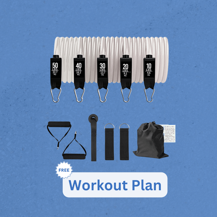 PowerFlex Pro Gummibänder